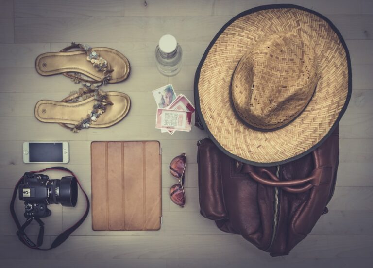 Travel Smart: Essential Tips for Modern Travelers on Straysphere